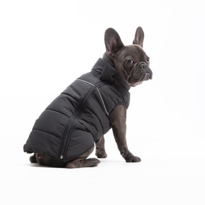French bull dog frenchie clothes french bulldog rain jacket dog coat dog jacket winter dog jacket image 2
