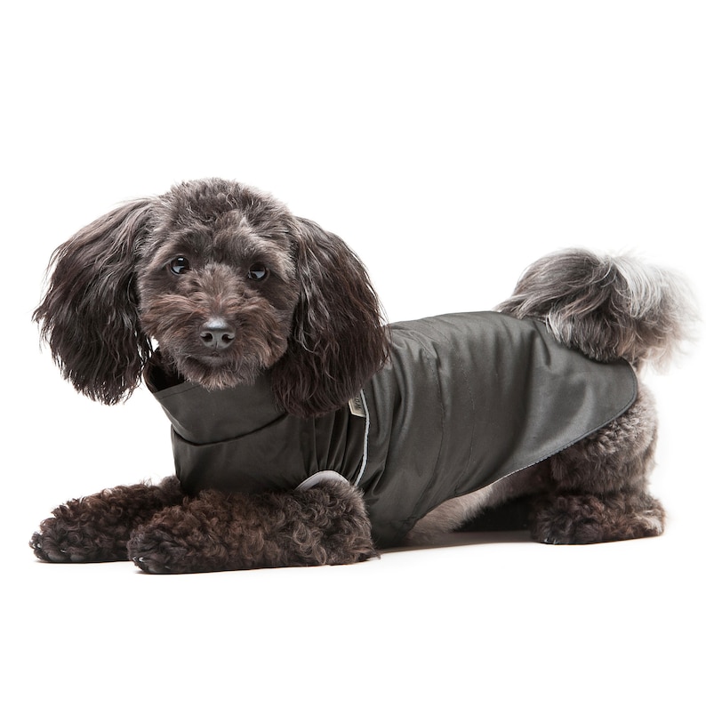 Clothes for dog clothes light jacket for dog jacket Etsy