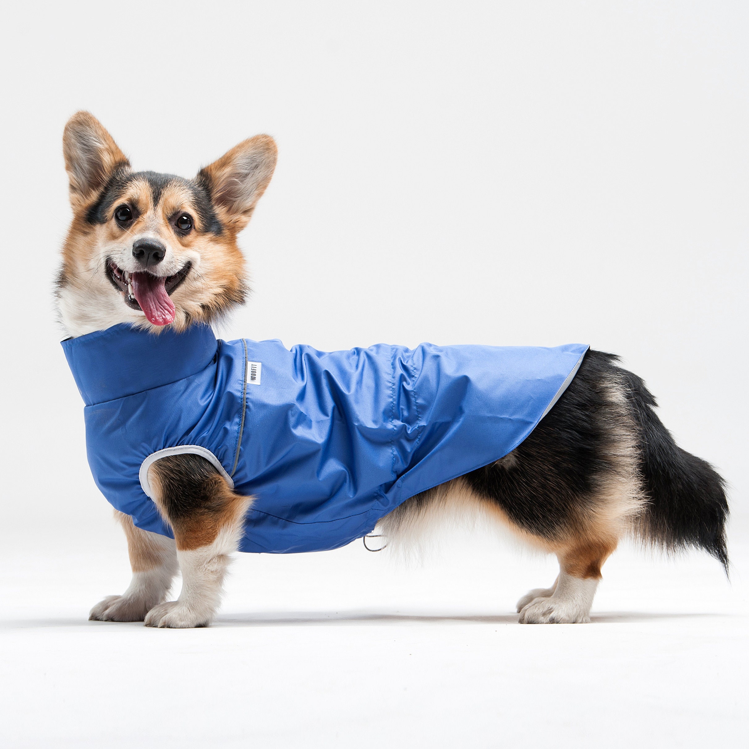 Rain jacket for dog Raincoat for Raincoat for dog Etsy