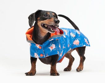 Raincoat For Dog - Pet Clothing -  Dog Clothing - Dog Wear - Any Breed - Gift