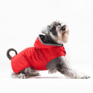 Könnte beinhalten: Ein Schnauzer-Hund trägt einen leuchtend roten Hunde-Regenmantel mit Kapuze. Die Jacke hat ein schwarzes Innenfutter, einen reflektierenden silbernen Besatz entlang der Nähte und zwei schwarze Knöpfe an der Seite. Der Hund steht im Profil.
