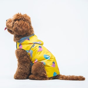 Etsy Design Awards Finalists Raincoat For Dog Pet Clothing Dog Clothing Dog Wear Puppy Gift Yellow birds