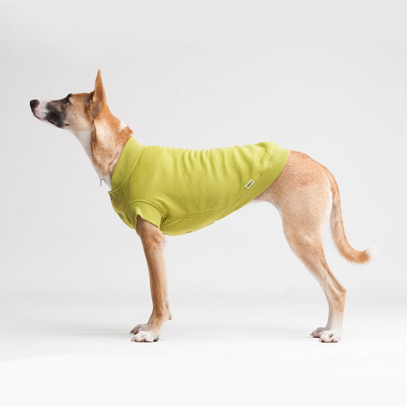 Large dog clothes jacket for dog clothes for big dog cotton Etsy