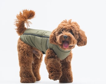 Warm jacket for dog - Mini dachshund clothes - Warm jacket for dog -  Dog wear  - Winter jacket for dog - Little dog clothes