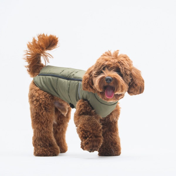 Warme Jacke für Hund - Mini Dackel kleidung - Warme Jacke für Hund - Hundebekleidung - Winterjacke für Hund - Kleine Hundekleidung