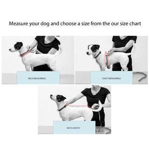 Etsy Design Awards Finalists Raincoat For Dog Pet Clothing Dog Clothing Dog Wear Puppy Gift image 6