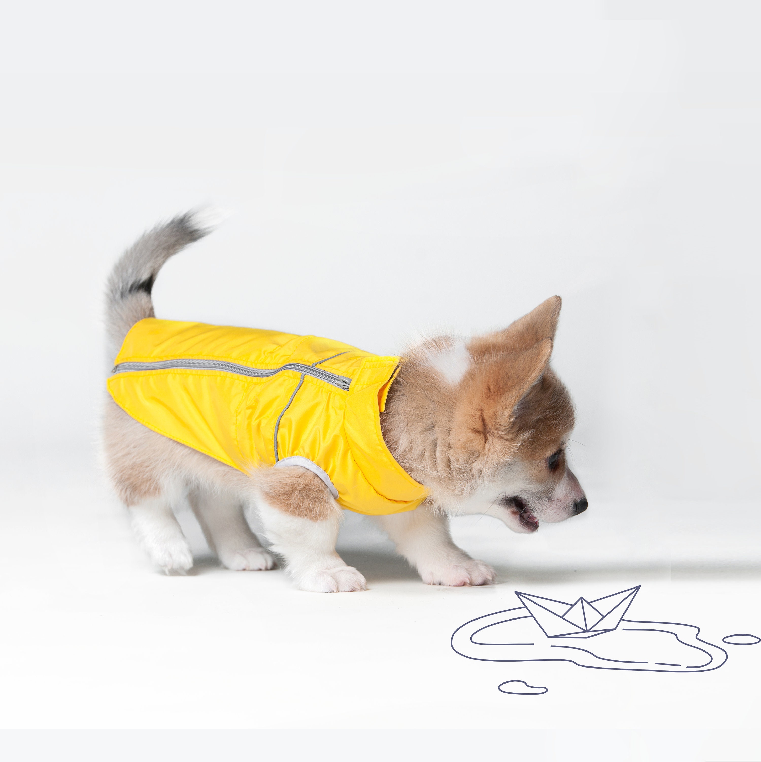 Clothes for dog clothes light jacket for dog jacket Etsy