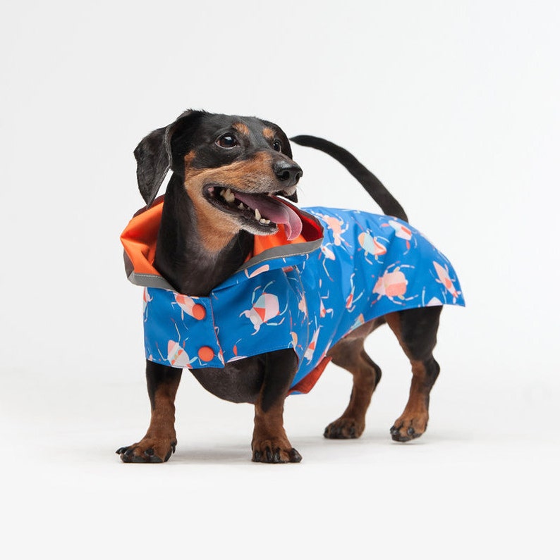 Raincoat for dog raincoat for small dog animalistic Etsy
