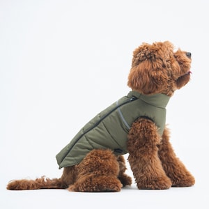 Dog clothes Dachshund clothes Warm jacket for dog Warm jacket Dog wear Winter jacket for dog Large dog clothes Gift for dog image 2