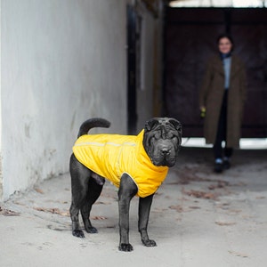 Dog Clothes, Warm Jacket for Large Dog, Big Dogs Clothes, Winter Jacket