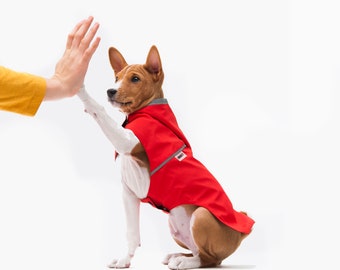 Raincoat For Dog -Dog clothing - Dog Wear - Pet Clothing - ANY SIZE - Gift