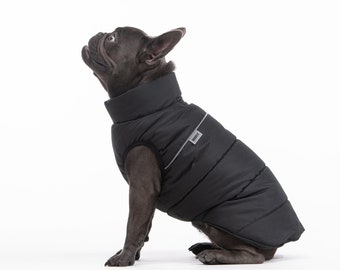 French bull dog  - frenchie clothes - french bulldog rain jacket - dog coat - dog jacket - winter dog jacket