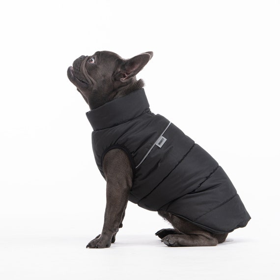 Etsy french top bulldog clothes