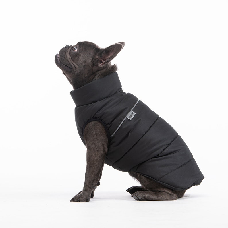 French bull dog frenchie clothes french bulldog rain jacket dog coat dog jacket winter dog jacket image 1