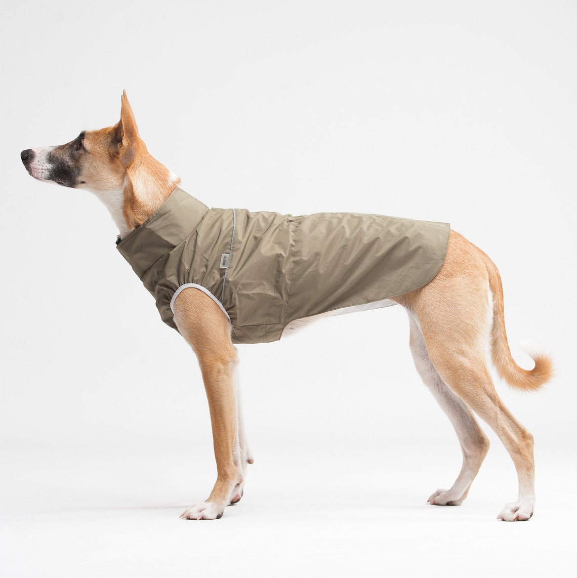Rain jacket for dog raincoat Raincoat for dog Etsy