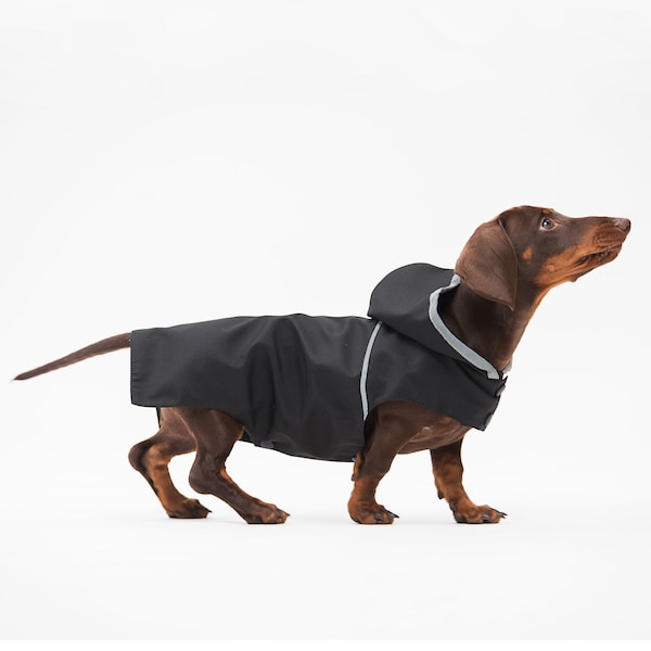 Kleding voor hond - Regenjas voor hond - Regenjas voor teckel - Hondenregenjas - Jas voor hond - Regenjas - Hondenkleding - Cadeau