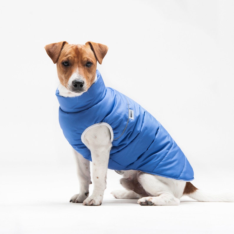 Dog Clothes Dachshund Clothes Warm Jacket for Dog Warm Etsy