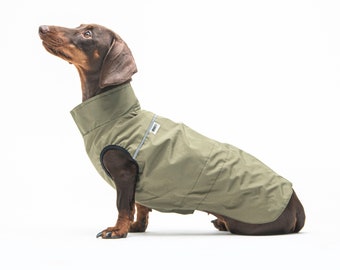 Dachshund raincoat - dachshund rain jacket - long raincoat - dachshund figurine - dachshund coat