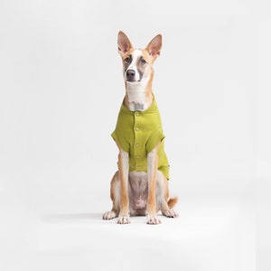 dog bomber jacket large