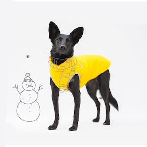 Dog clothes - Warm jacket for dog - Dog wear - Clothes for big dog - Winter jacket for dog - Large dog clothes - Mixed breed - Gift