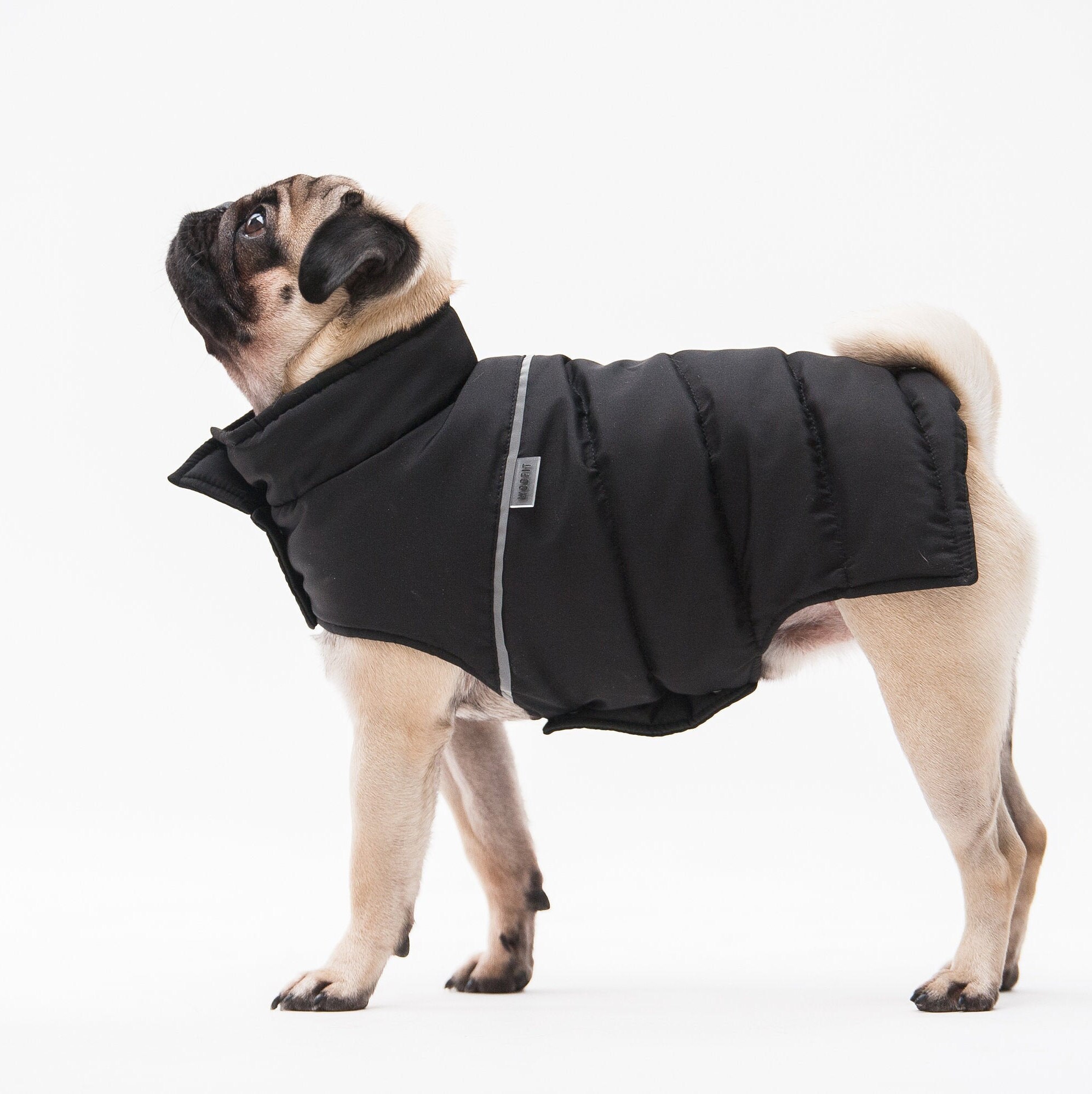 Warm Clothing For Dog Warm Dog Clothes Dog Clothing Pet Etsy