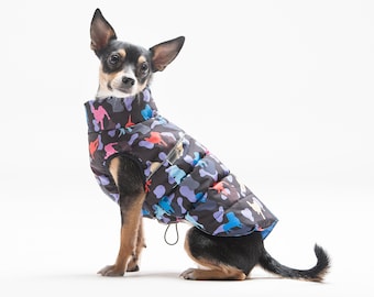 Könnte beinhalten: Ein kleiner schwarz-brauner Hund, der eine blaue und schwarze Steppjacke mit einem bunten Dinosaurier-Druck trägt. Der Hund sitzt auf einem weißen Hintergrund.