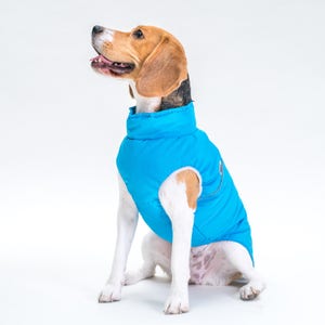 Dogs clothes, warm jacket for beagle, warm jacket, clothes for big dog, jacket for dog, dog jacket, dog wear, gift, dog clothes image 2