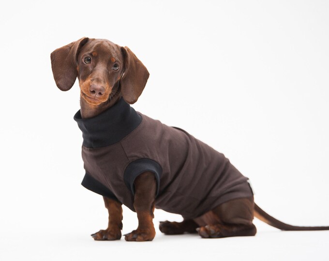 Tshirt for Mini Dachshund Clothes for Dog Mini Dachshund Clothes T