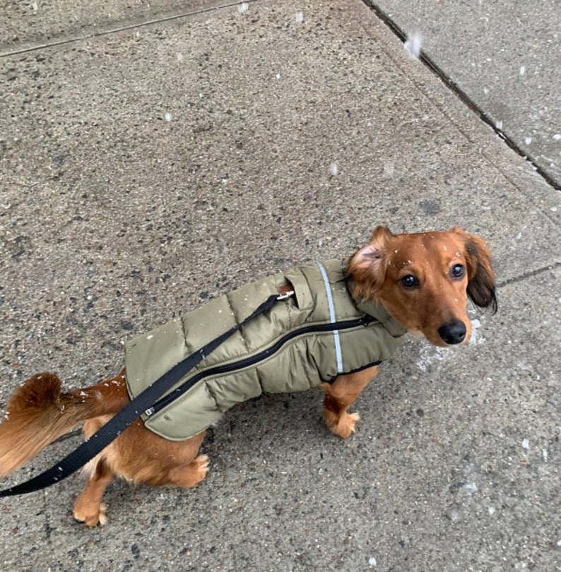 Dog clothes Dachshund clothes Warm jacket for dog Warm jacket Dog wear Winter jacket for dog Large dog clothes Gift for dog image 10