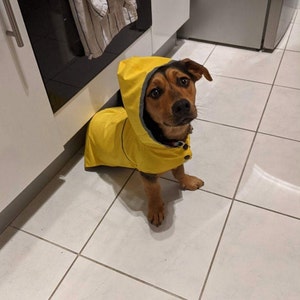 Raincoat for dog Clothing for dog Dog Wear Dog Jacket Pet Clothing Any Breed Gift Yellow