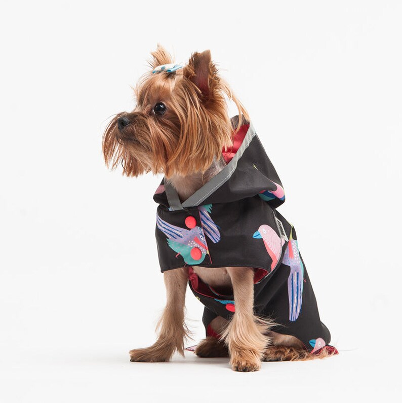 Raincoat for dog raincoat for small dog animalistic Etsy