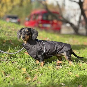 Dachshund raincoat dachshund rain jacket long raincoat dachshund figurine dachshund coat image 2