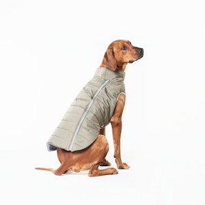 Clothes for dog, warm jacket for dog, large dog clothes, winter jacket, jacket for dog, dog jacket, big dog, dog wear, gift