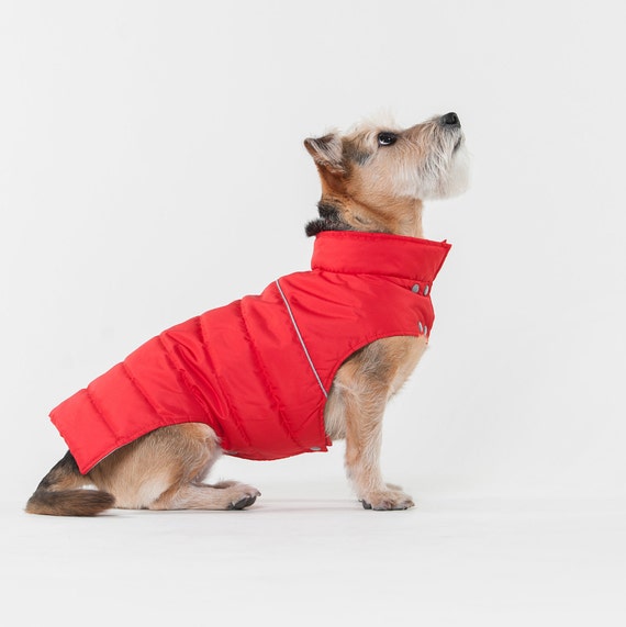 Warm vest for dog warm vest winter vest vest for dog dog | Etsy