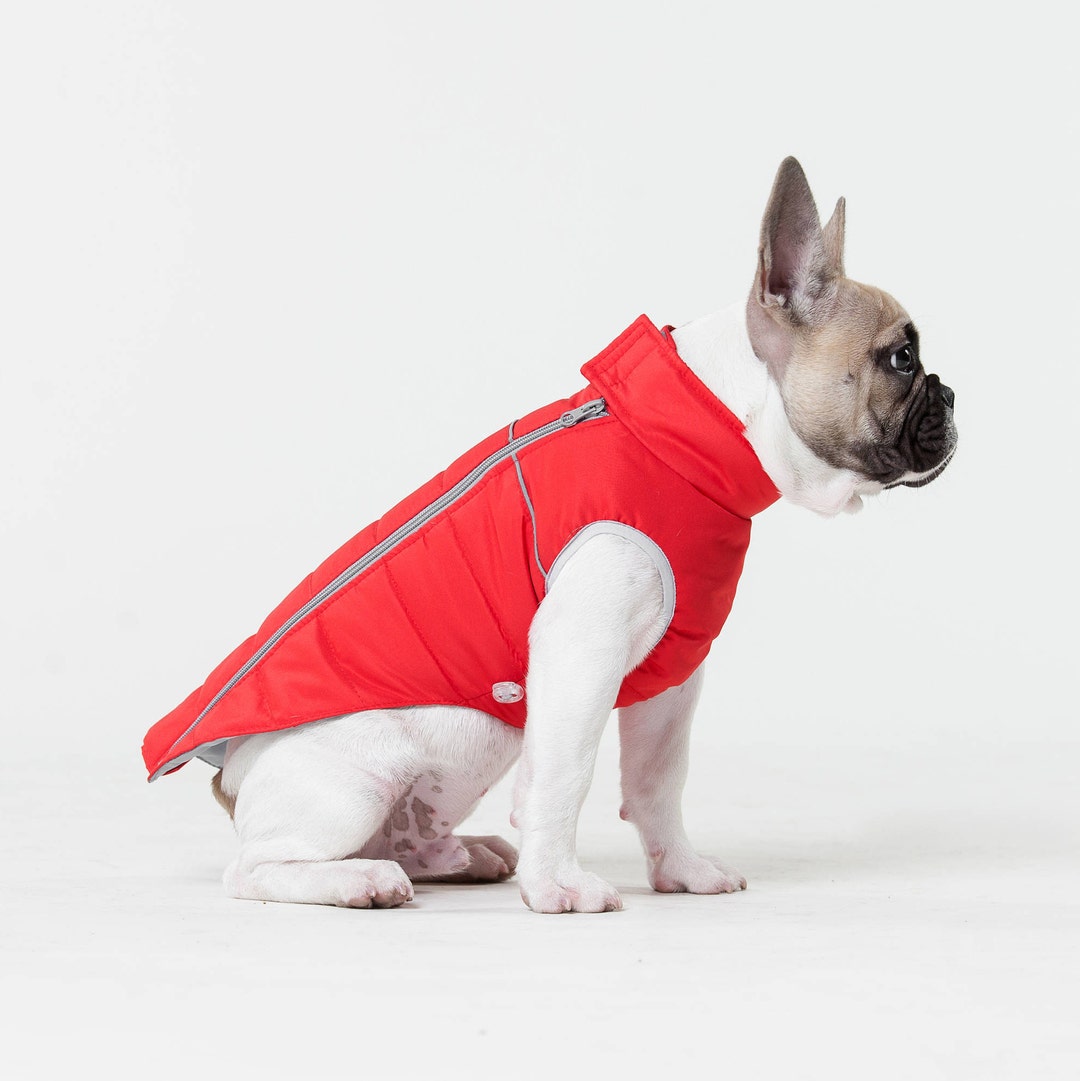 Warm Jacket for Dog, Warm Jacket for French Bulldog, Winter Jacket for