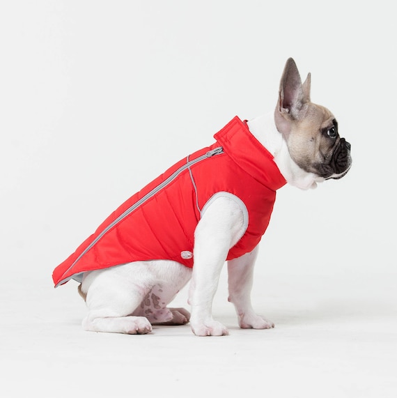 wind und wasserdichte jacken für den winter bulldoggen französische wind und wasserdichte jacken für den winter bulldoggen französische