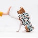 Etsy Design Awards Finalists - Raincoat For Dog - Pet Clothing -  Dog Clothing - Dog Wear - Puppy - Gift 
