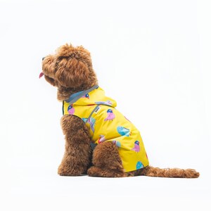 May include: A brown dog wearing a yellow raincoat with a colorful bird pattern. The raincoat has a hood and a zipper.