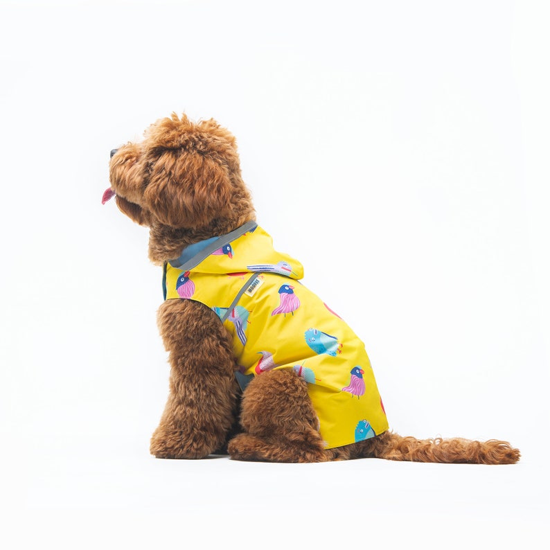 May include: A brown dog wearing a yellow raincoat with a colorful bird pattern. The raincoat has a hood and a zipper.