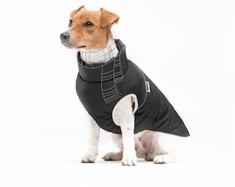 Dog clothes, Jack Rassell terrier warm jacket for dog, warm jacket, jacket for dog, dog jacket, dog wear,  water-resistant jacket, gift