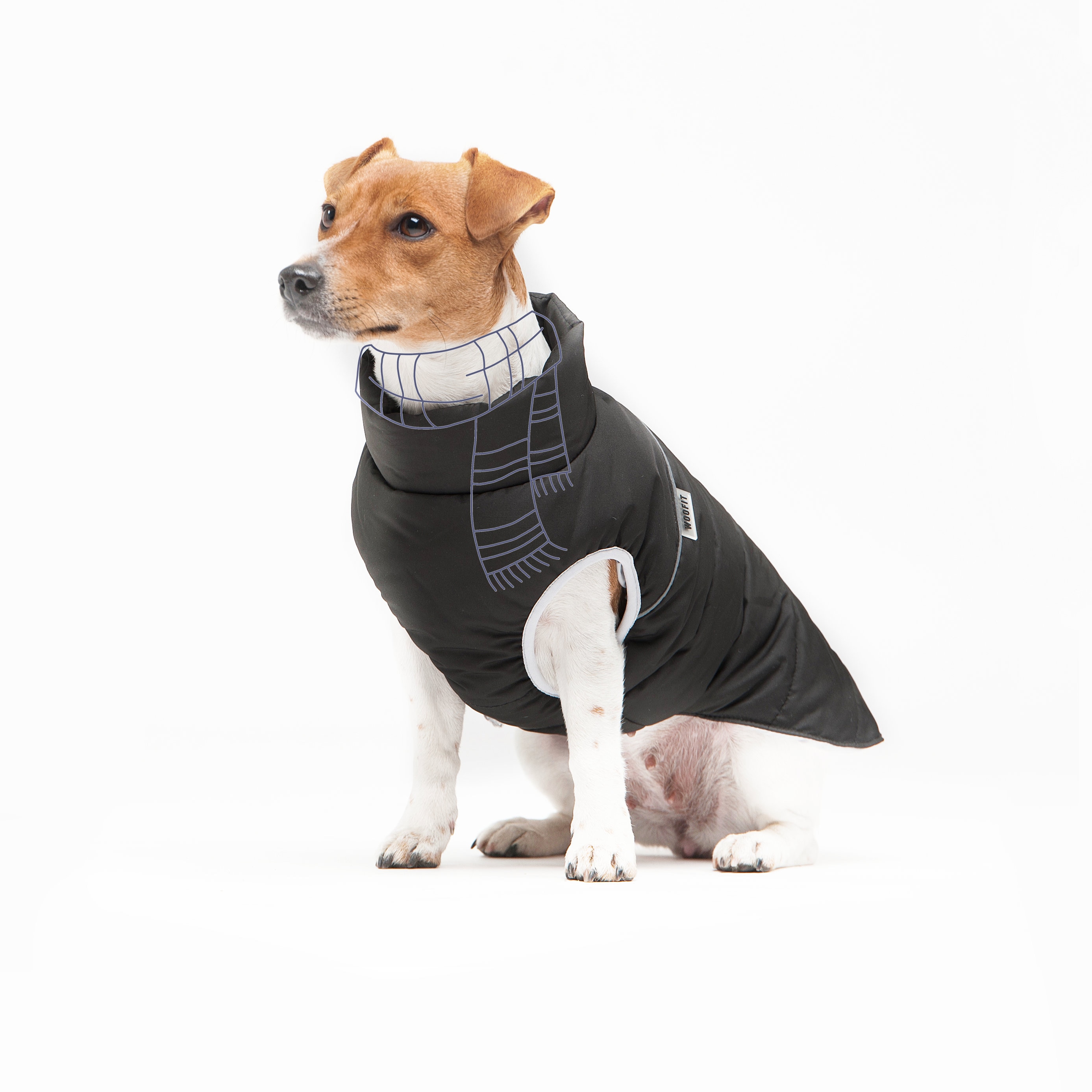 Hondenkleding Jack Rassell terrier warme hond warme - Etsy Nederland