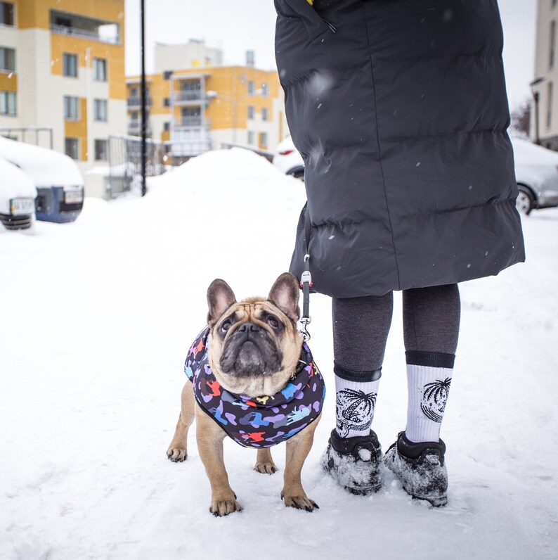 HundeKleidung leichte Jacke für Hund französische Bulldogge Etsy