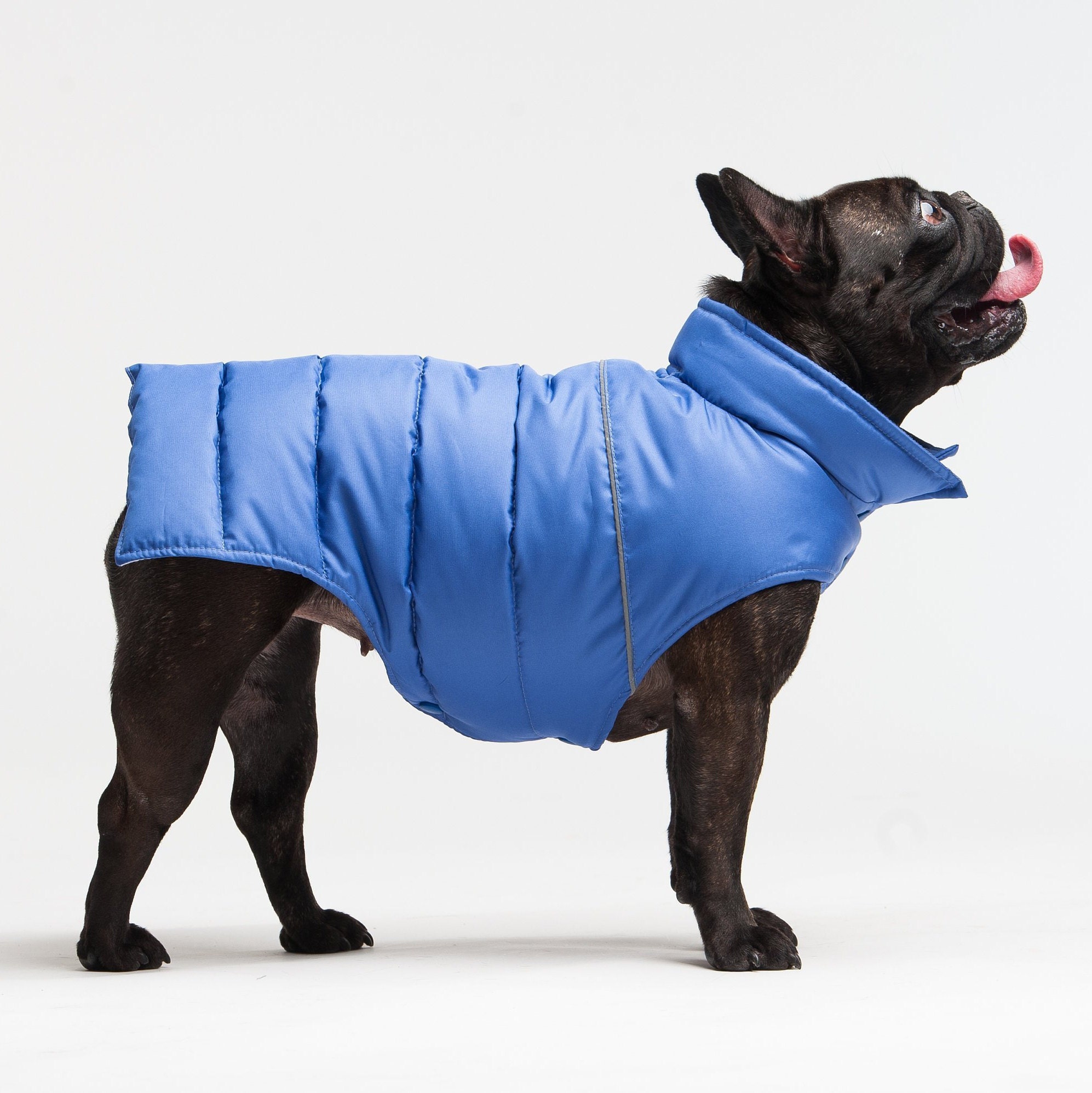 Dog clothes warm vest for small dog clothes for small dog Etsy