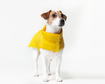 Warm Vest For Dog - Warm Clothing For Dog - Warm Dog Clothes - Dog Clothing - Winter Dog Clothing - Warm Jacket For Dog - Gift