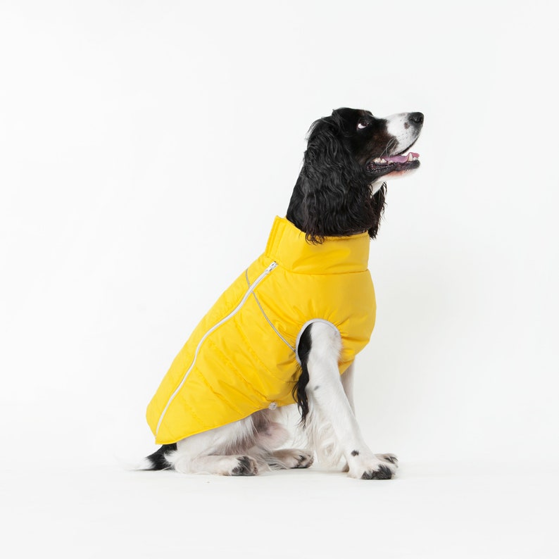 Warm jacket for dog, warm jacket for spaniel, warm jacket, jacket for dog, dog jacket, dog wear, gift,dog clothes, dog wear image 2