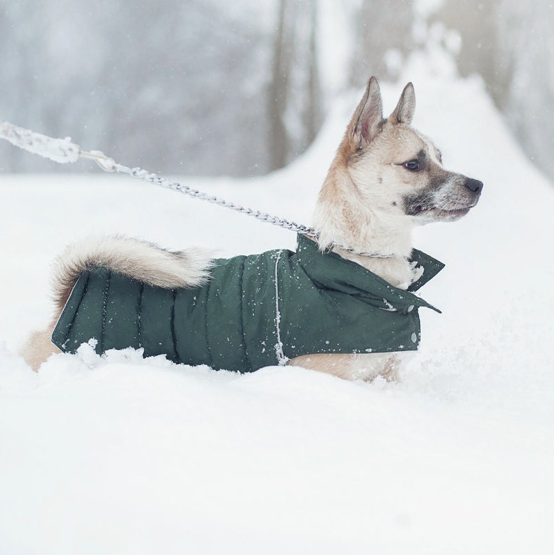 Dog clothes warm vest for small dog clothes for small dog Etsy