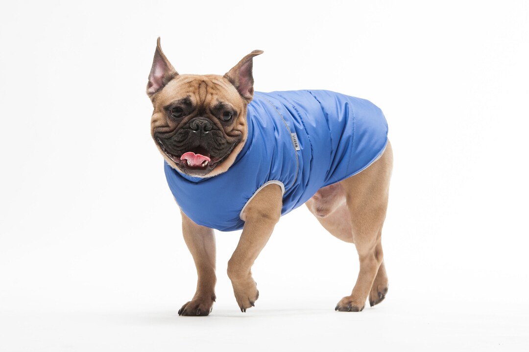 Clothes for Dog Warm Jacket for French Bulldog Winter Jacket Etsy