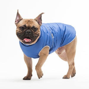 Clothes for dog, warm jacket for French bulldog, winter jacket for dog, dog jacket, dog wear, gift, dog clothes, dog wear