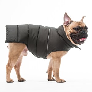 Warm Vest - Warm Clothing for Dog - Dog Wear - Warm Jacket for Dog - Pet Tops - Any Breed - Gift