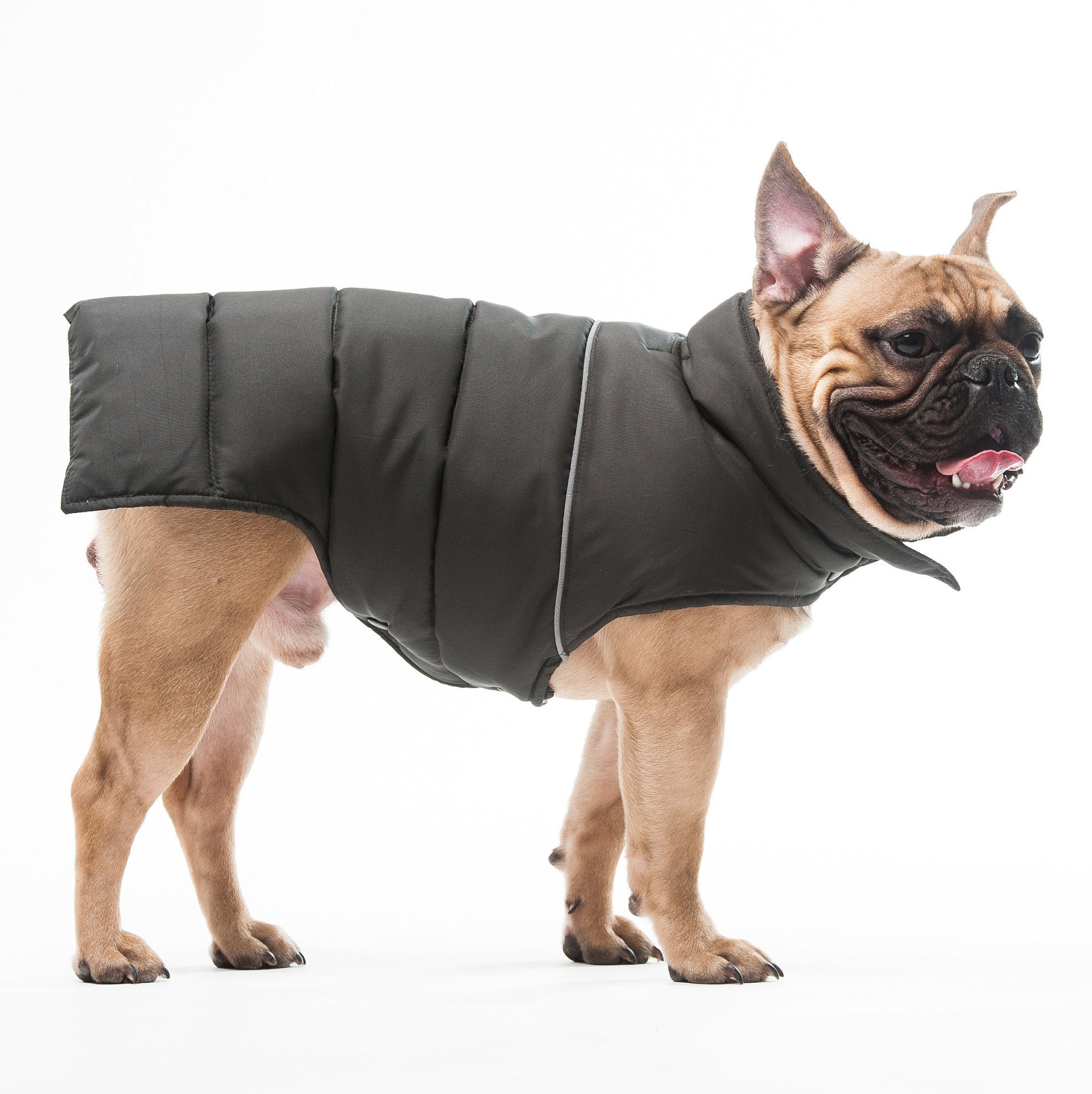 Warm Vest Warm Clothing for Dog Dog Wear Warm Jacket for Etsy